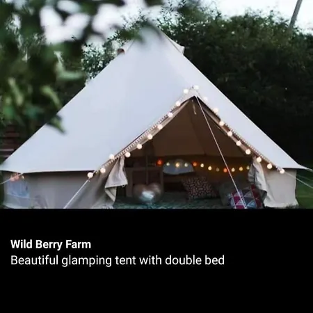 Wildberry Cycling