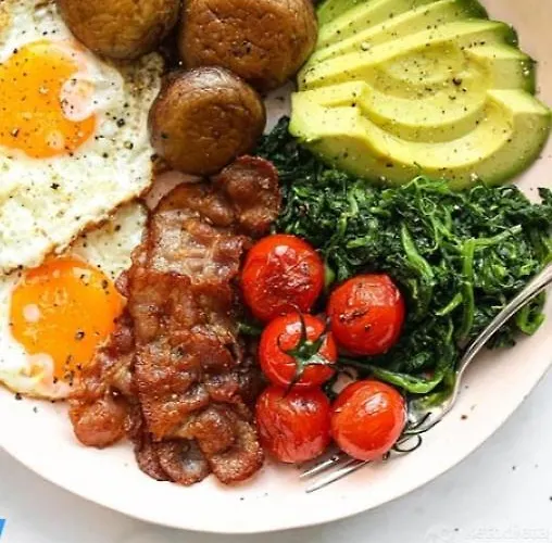 Luxe tent Wildberry Cycling